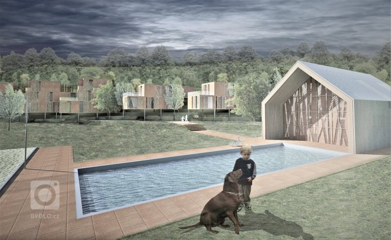 add picture to album