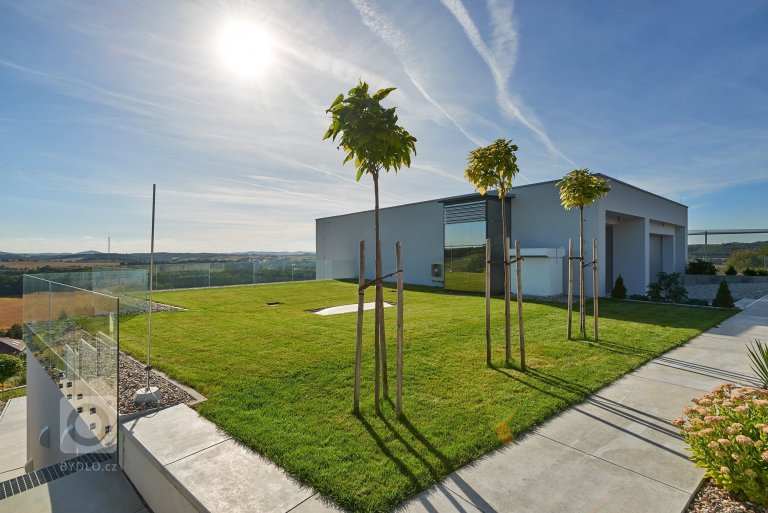 add picture to album