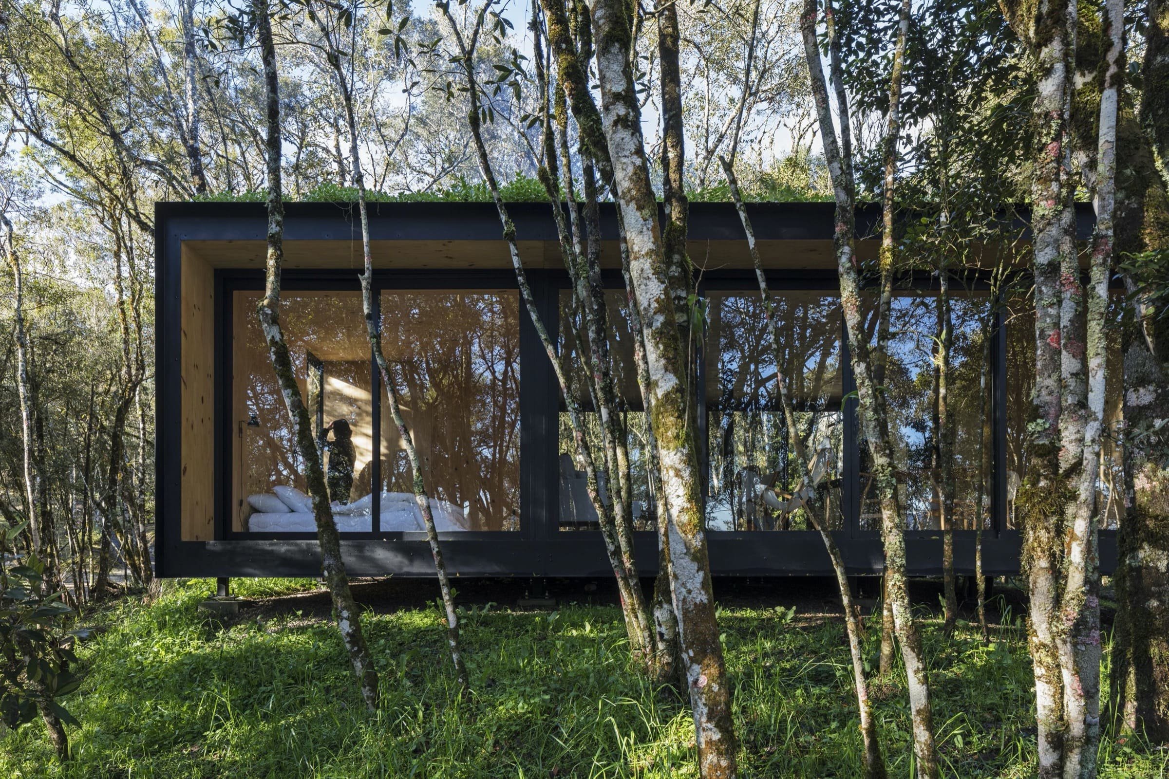 Minimalistická chata v lese