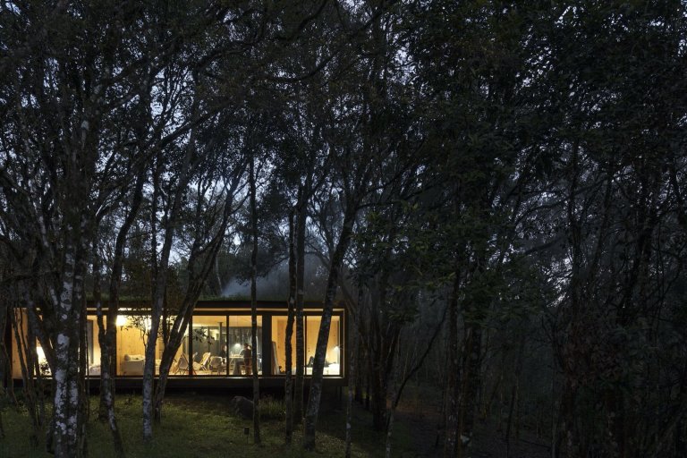 Minimalistická chata v lese