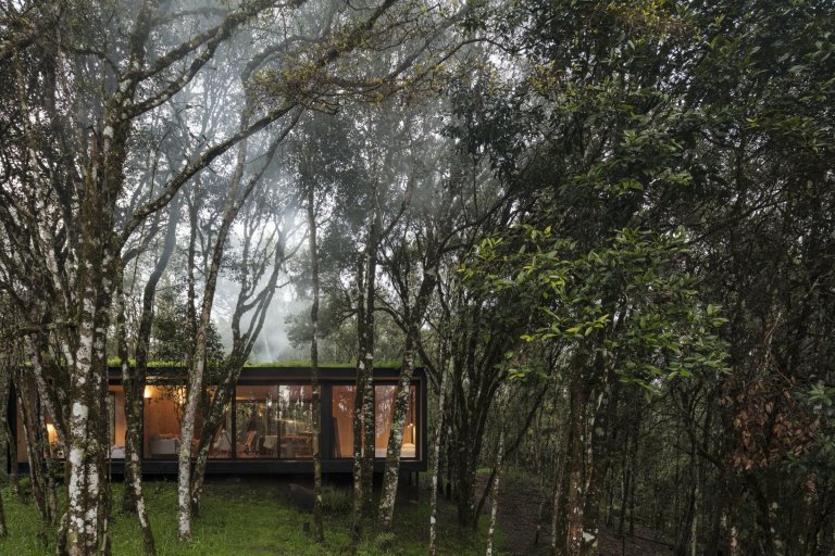 Minimalistická chata v lese