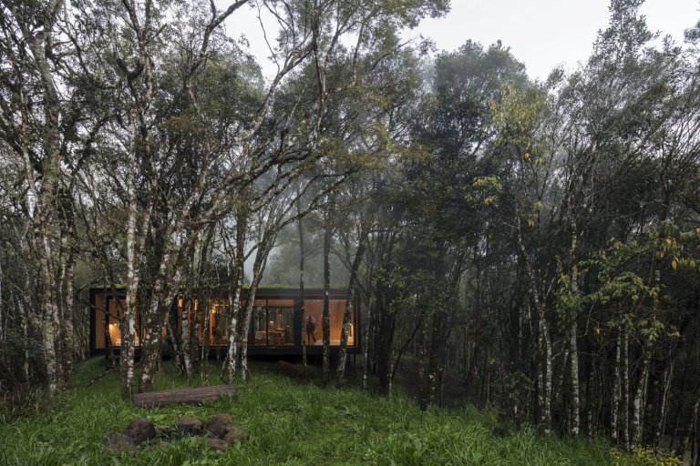 Minimalistická chata v lese