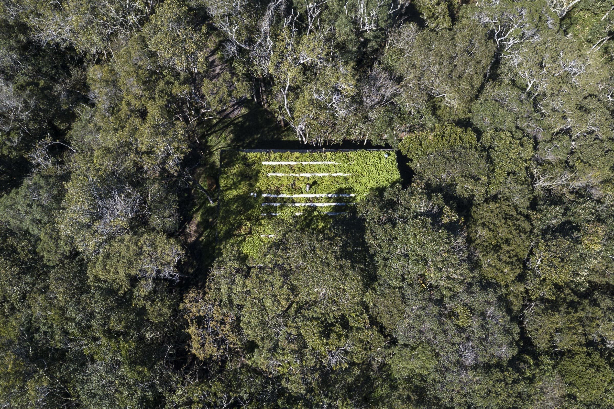 Minimalistická chata v lese