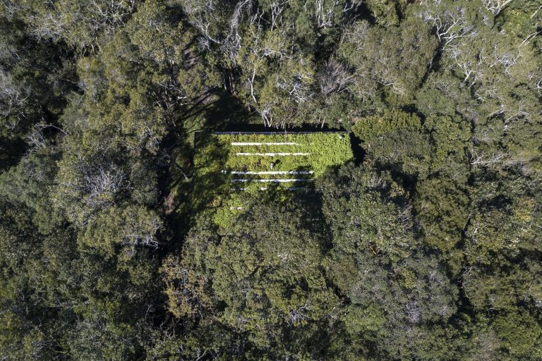 Minimalistická chata v lese