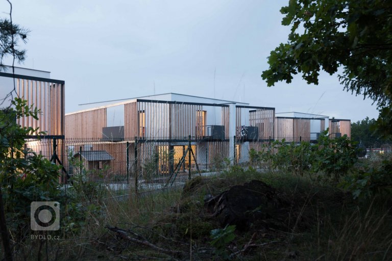 add picture to album