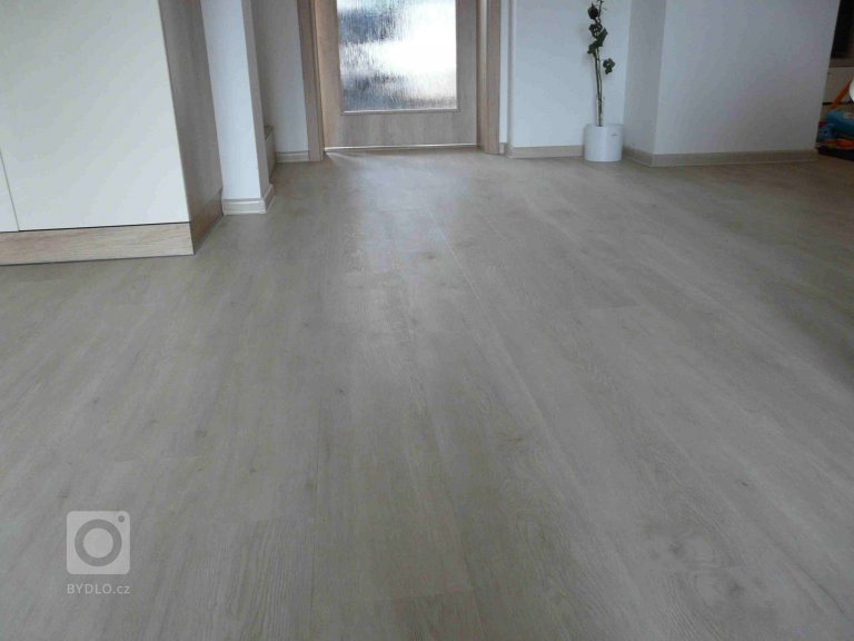 add picture to album