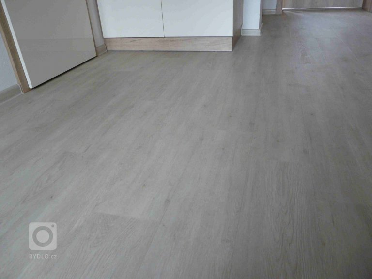 add picture to album