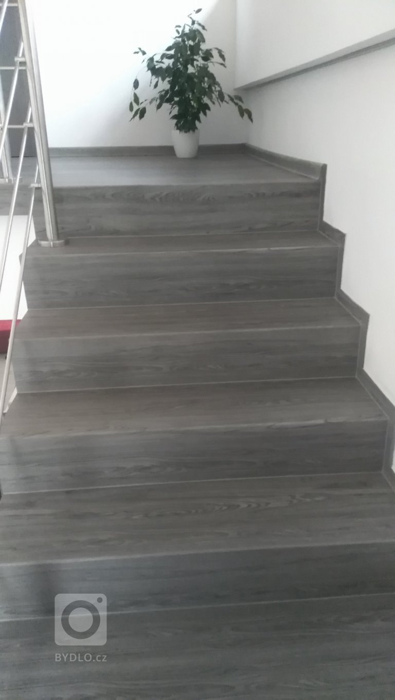 add picture to album