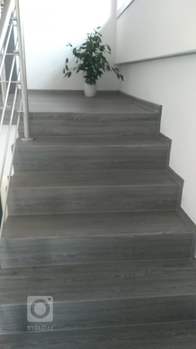 add picture to album