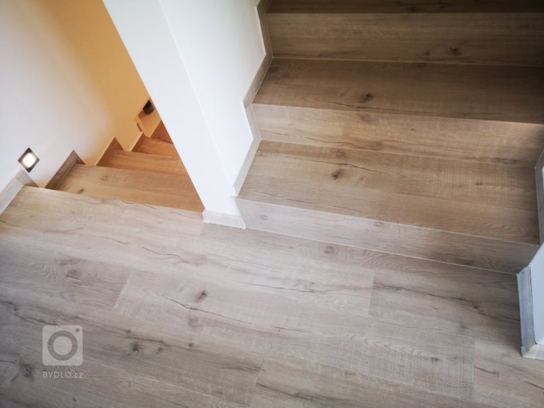 add picture to album