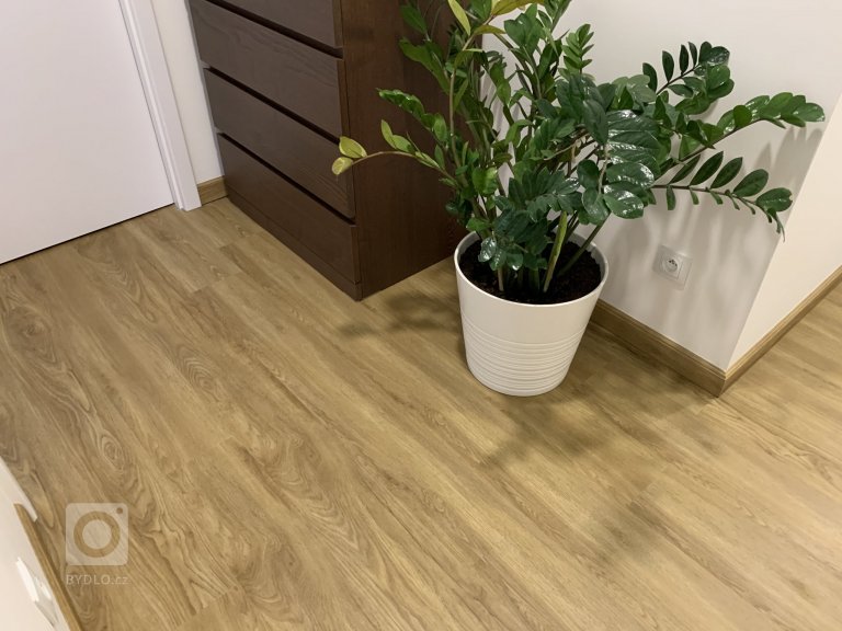 add picture to album