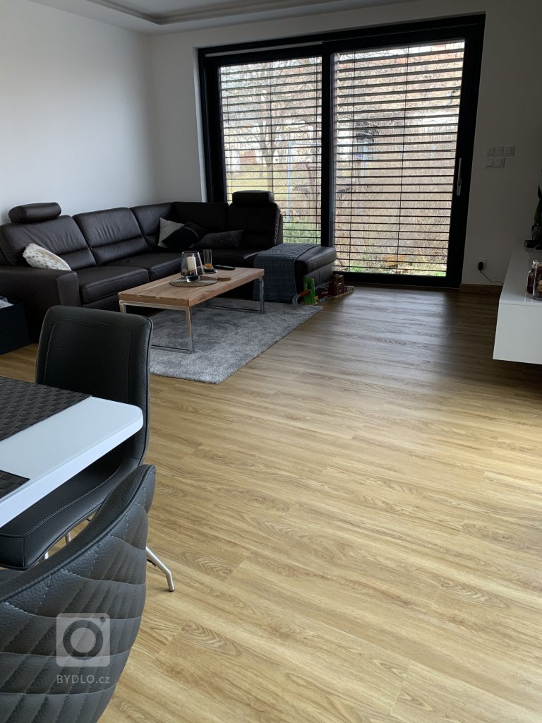 add picture to album