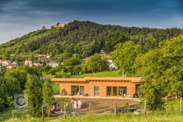 add picture to album