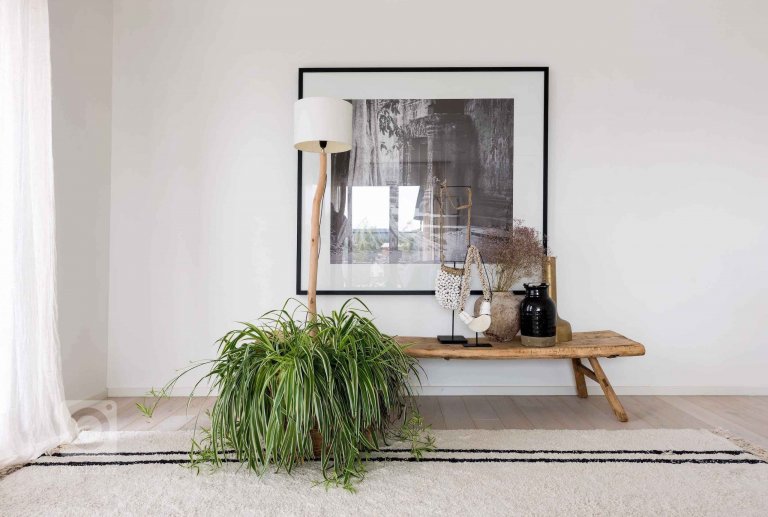 add picture to album