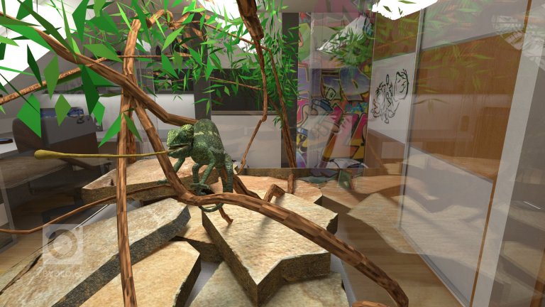 add picture to album