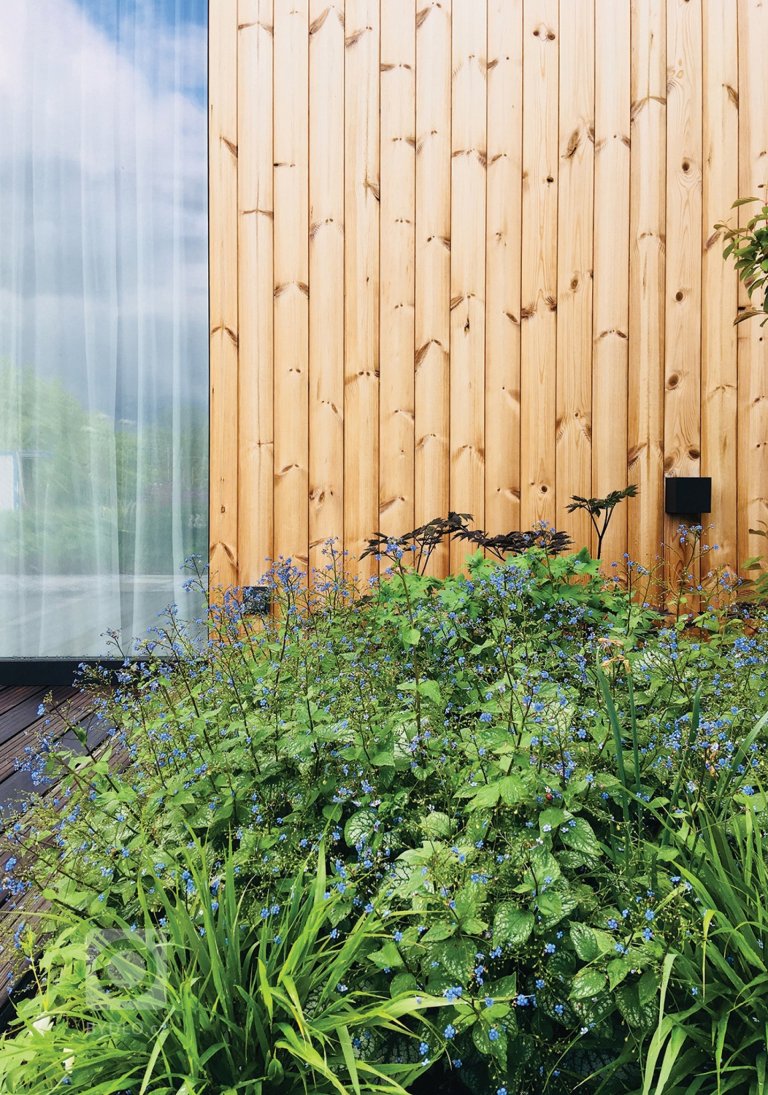 add picture to album