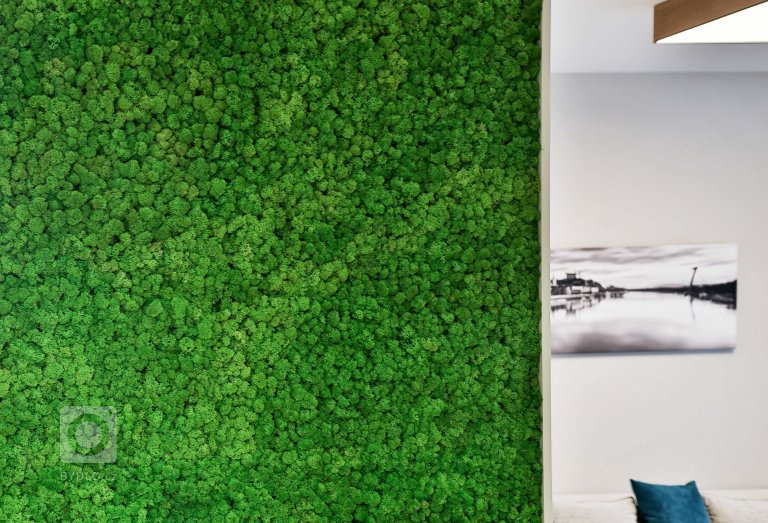 add picture to album