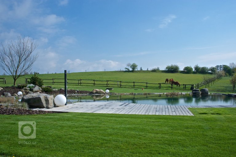 add picture to album