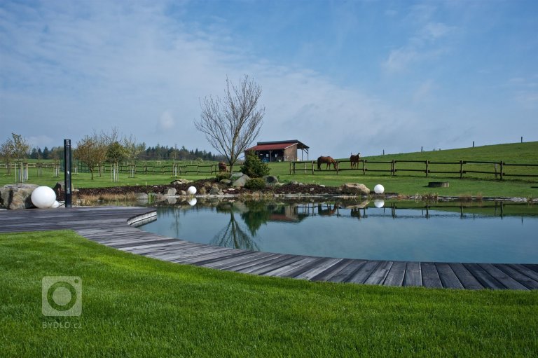 add picture to album