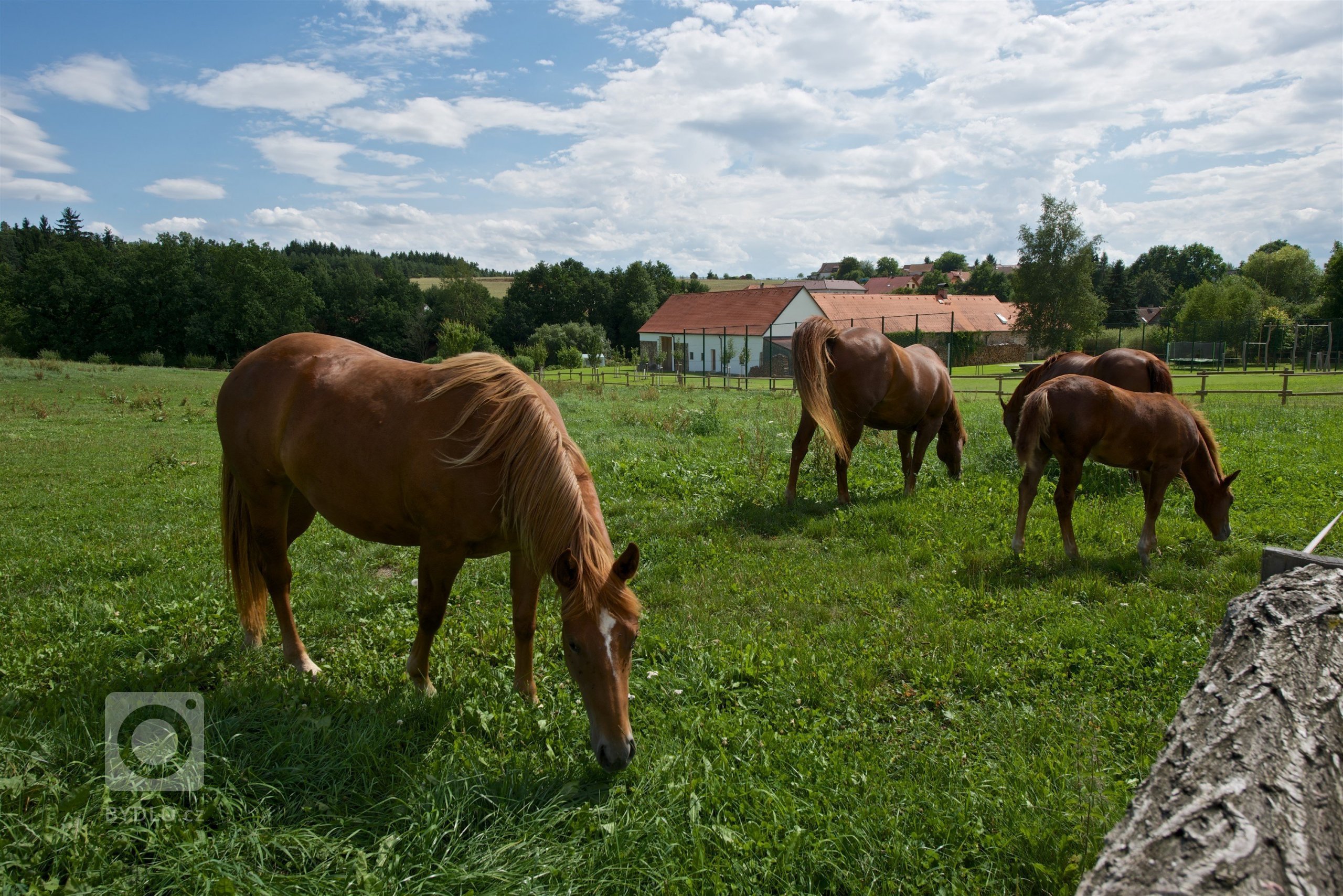 Historie tohoto statku u Písku sahá hluboko do minulosti a je nádherným příkladem, jak lze pečovat o rodinnou tradici.&nbsp;Dnes už byste neuvěřili, že tohle…