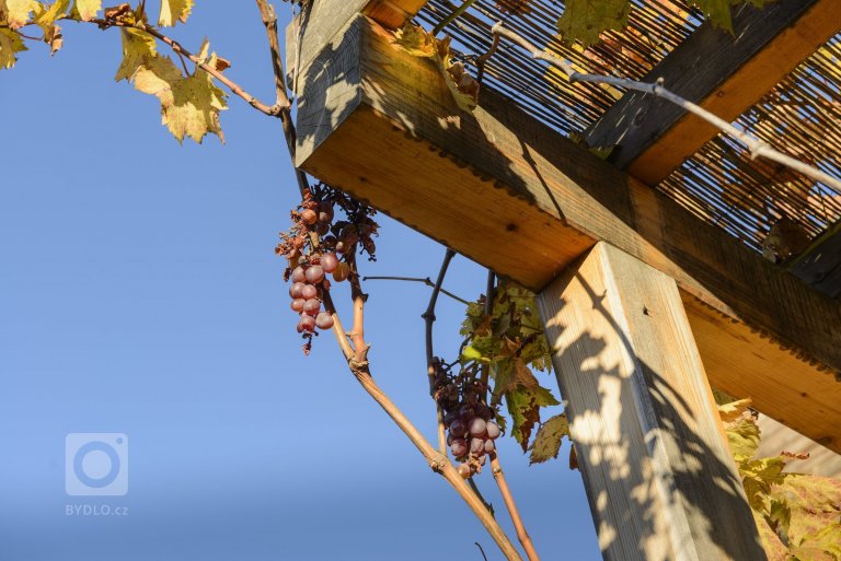 add picture to album