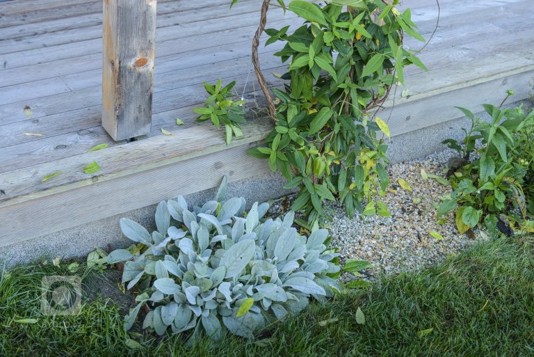 add picture to album