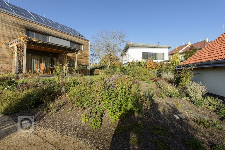 add picture to album