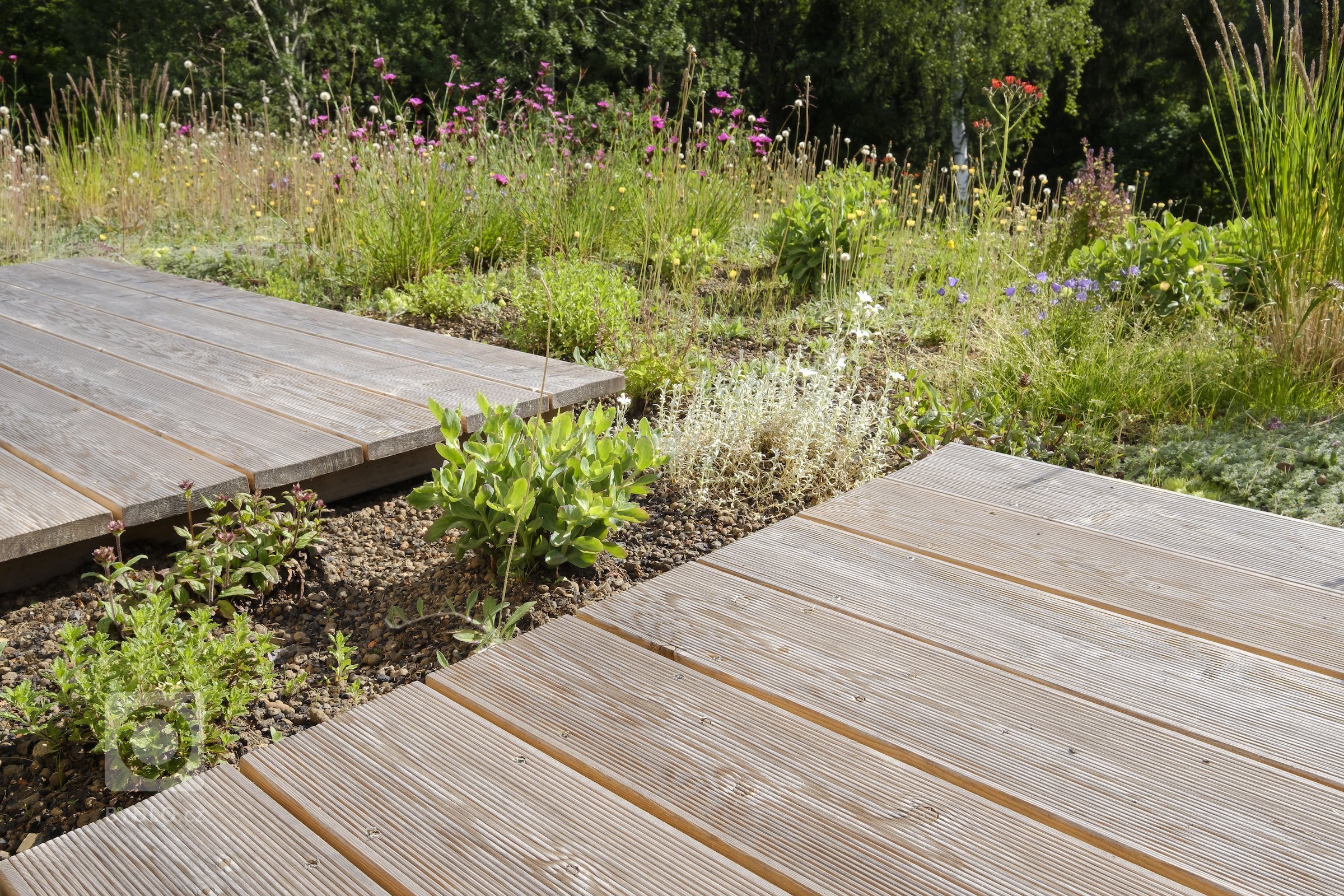 Koncepce rodinného domu s&nbsp;permakulturní zahradou pro japonsko-český manželský pár je vedena snahou o&nbsp;jednoduché, funkční a kultivované řešení, které…