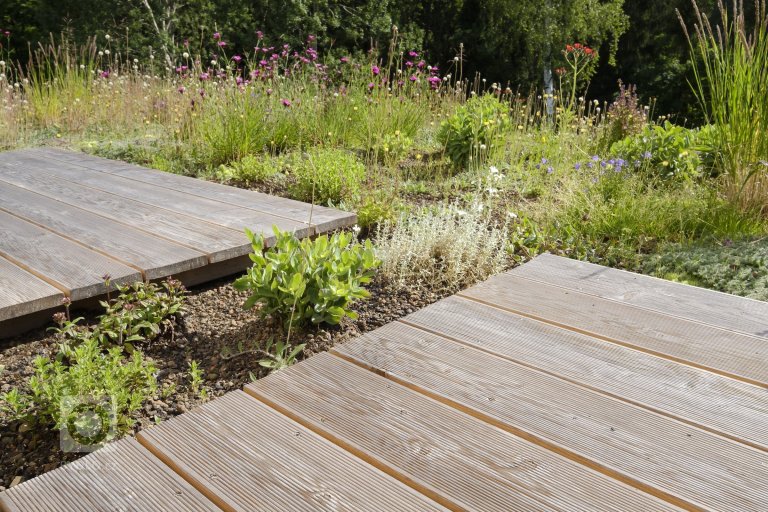 add picture to album