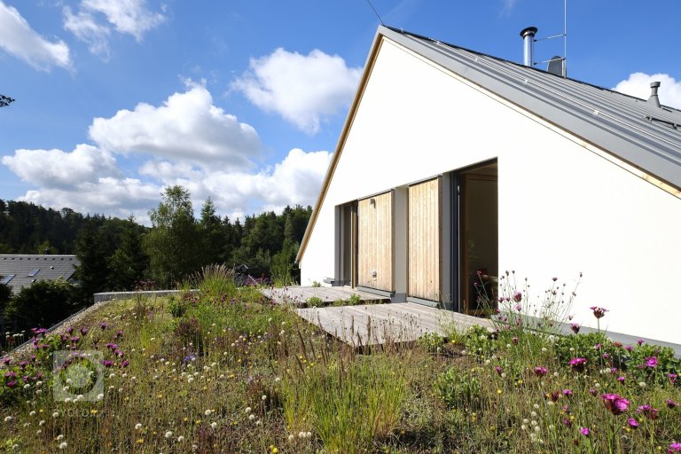 add picture to album