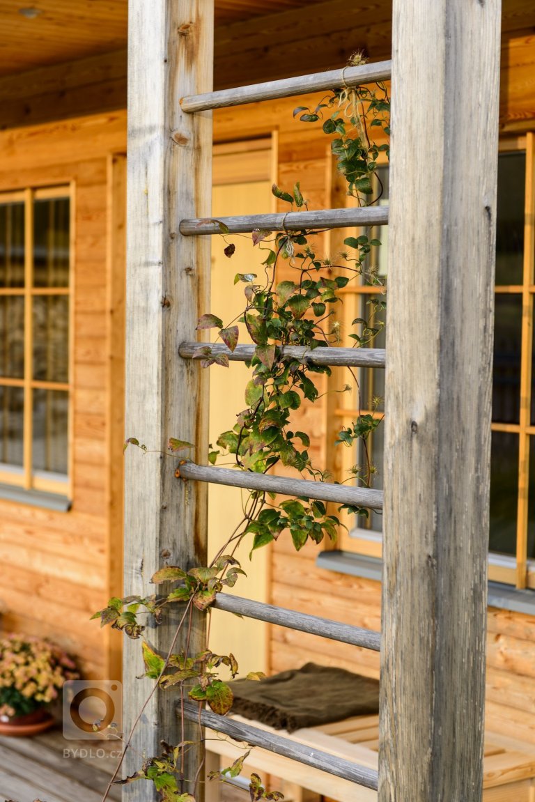 add picture to album