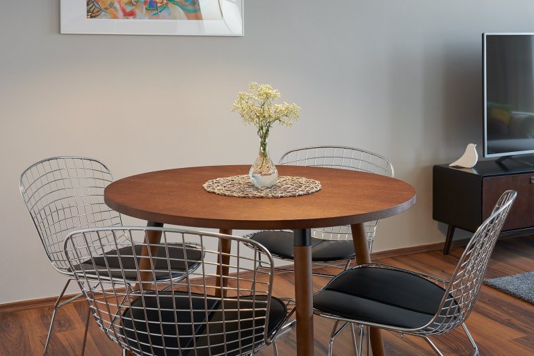 Byt ke krátkodobým pronájmům II