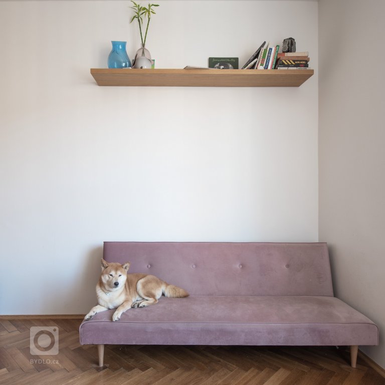 add picture to album