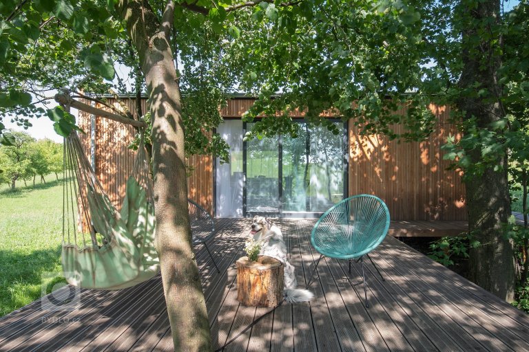 add picture to album