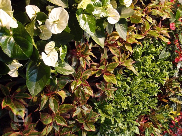 add picture to album