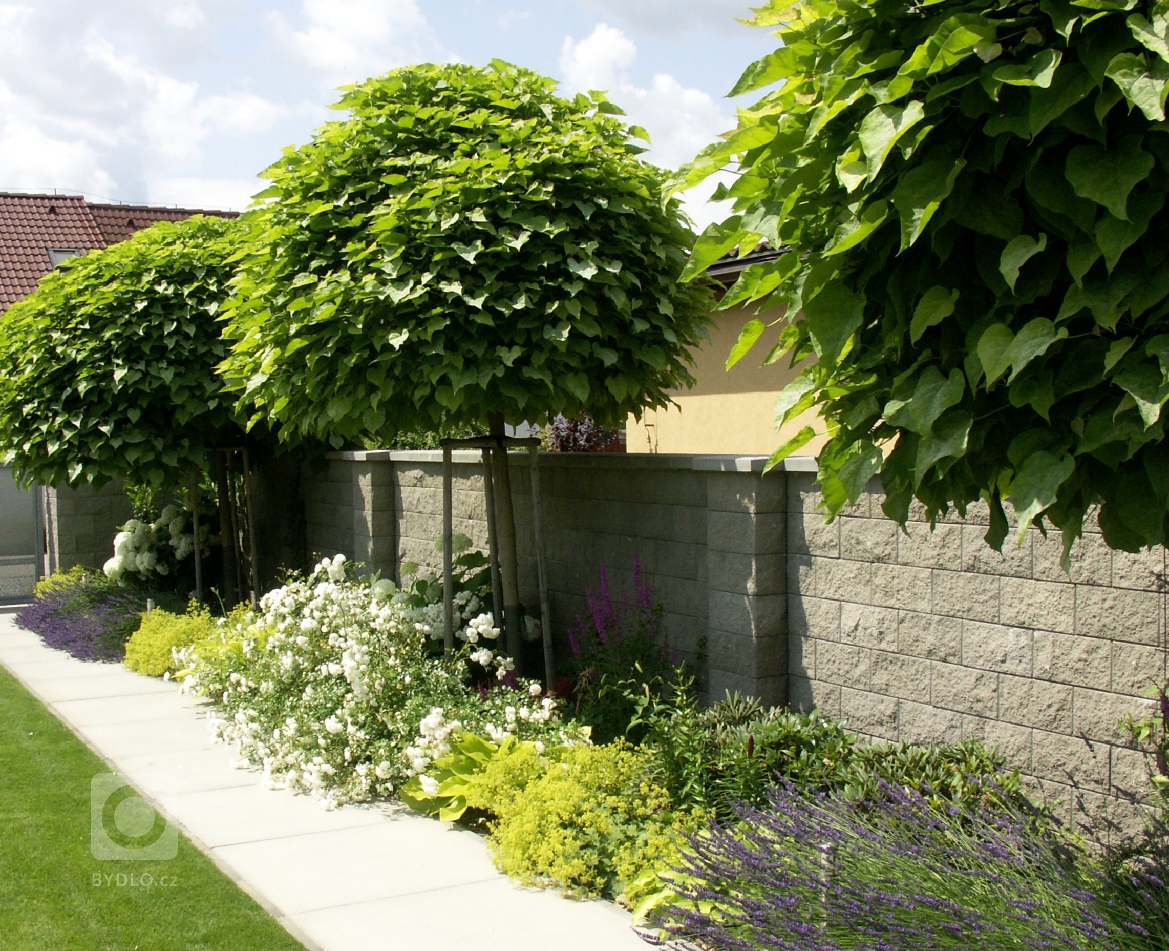 Malokorunné stromy s podsadbou