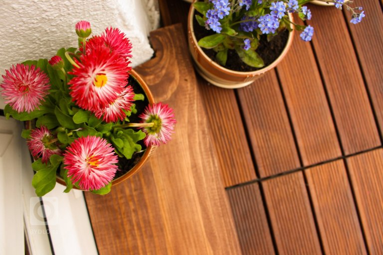 add picture to album