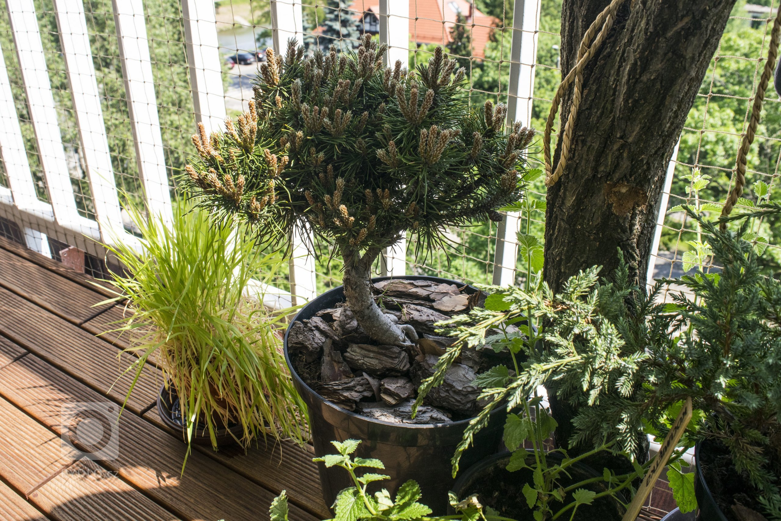 Naše zákaznice Klára to vyřešila zatím takto. Podlahu spolu s manželem položili společně
