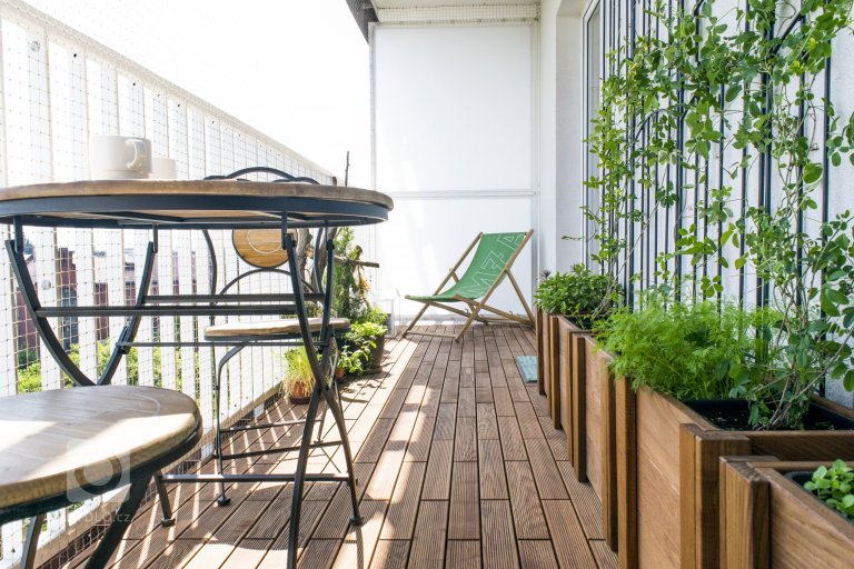 add picture to album