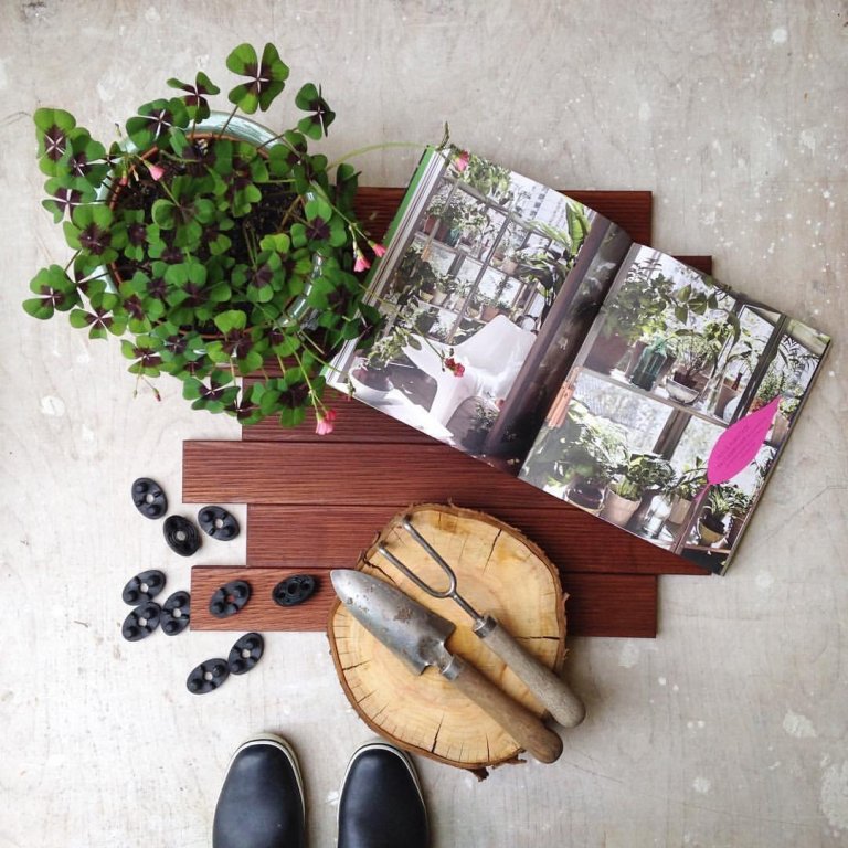 add picture to album