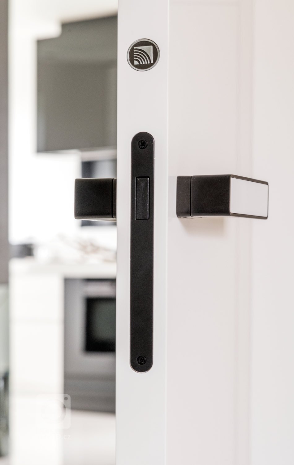 Ryze moderní interiér, který má osobité charisma.&nbsp;Pro tento interiér jsme kromě kuchyně a interiérových dveří dodali především větší nábytkové sestavy.…