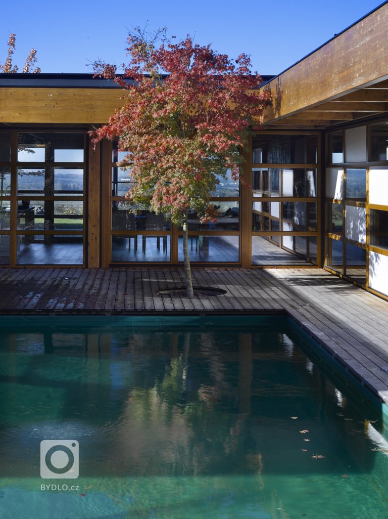 add picture to album