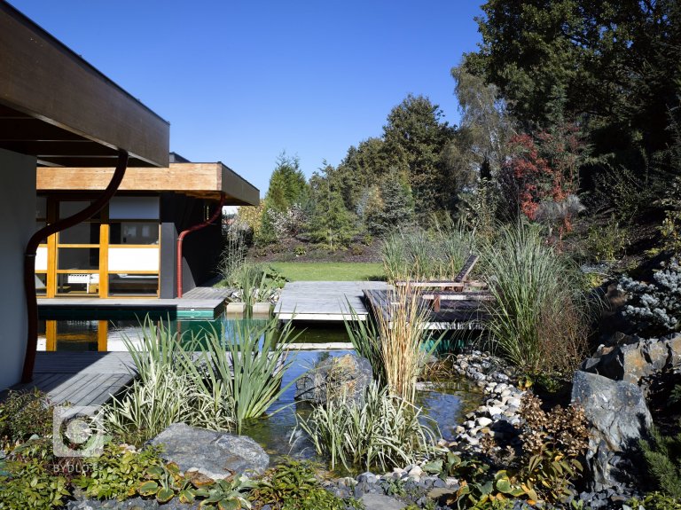 add picture to album