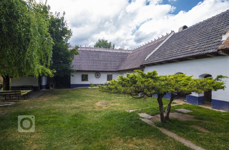 add picture to album