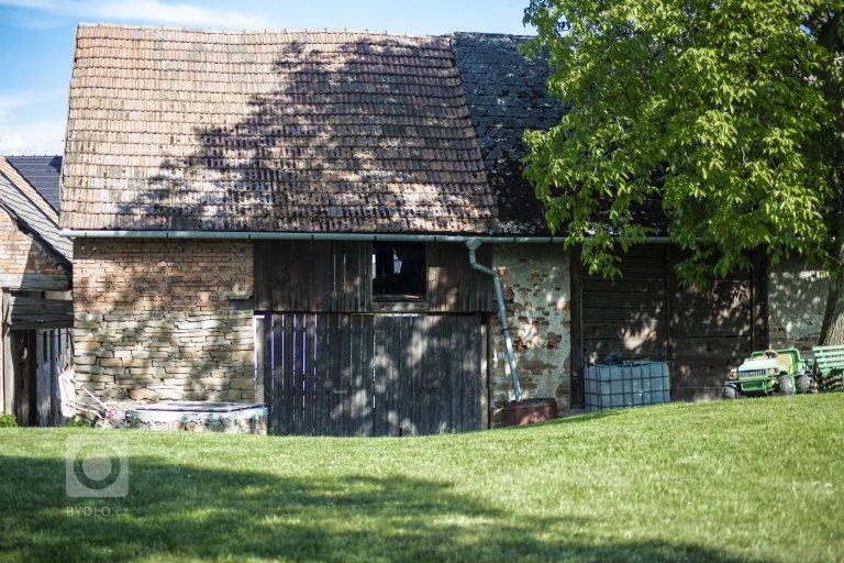 add picture to album