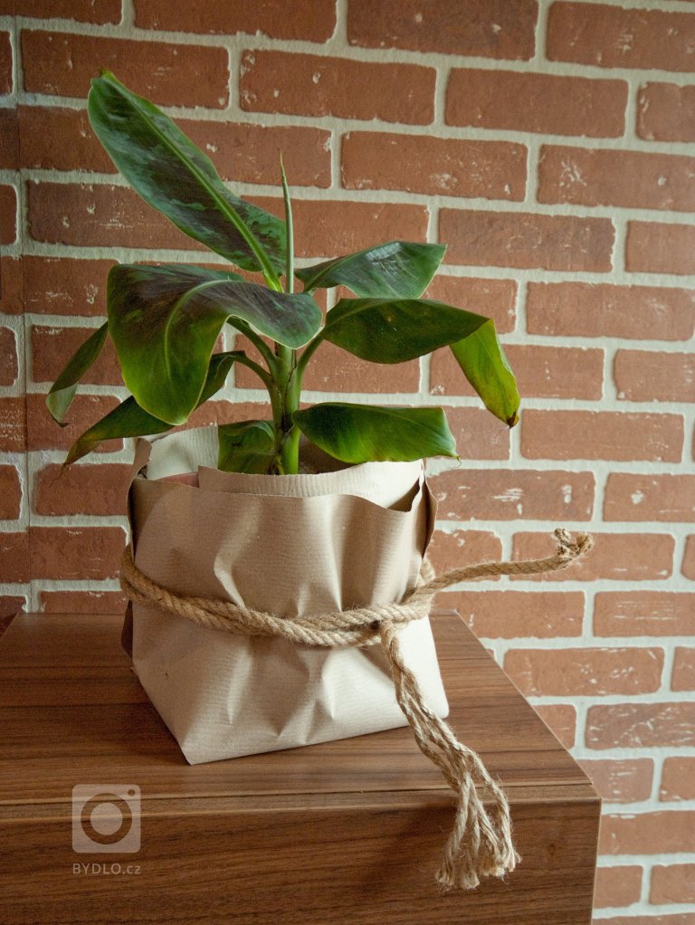 add picture to album