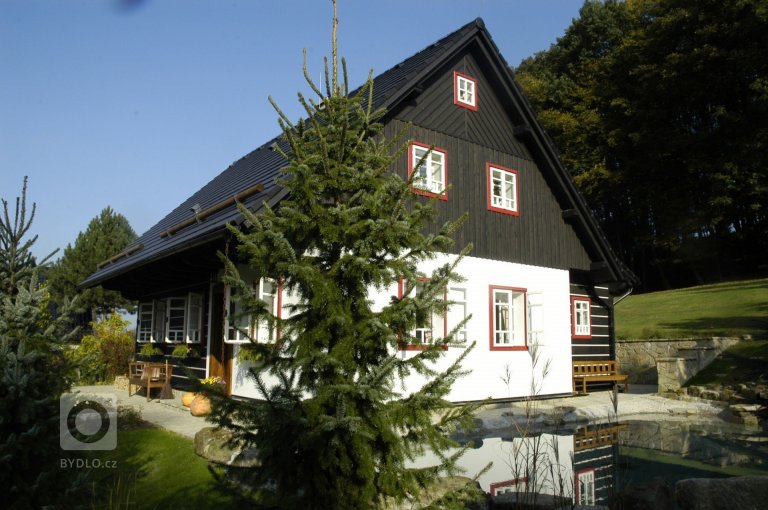 add picture to album