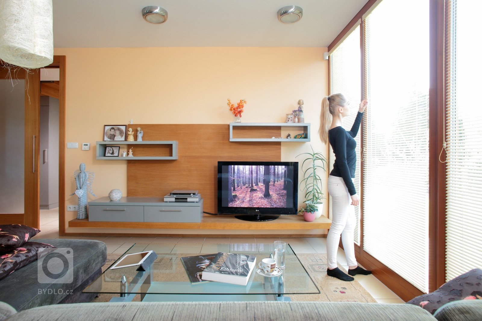 Dům Hradec nad Moravicí