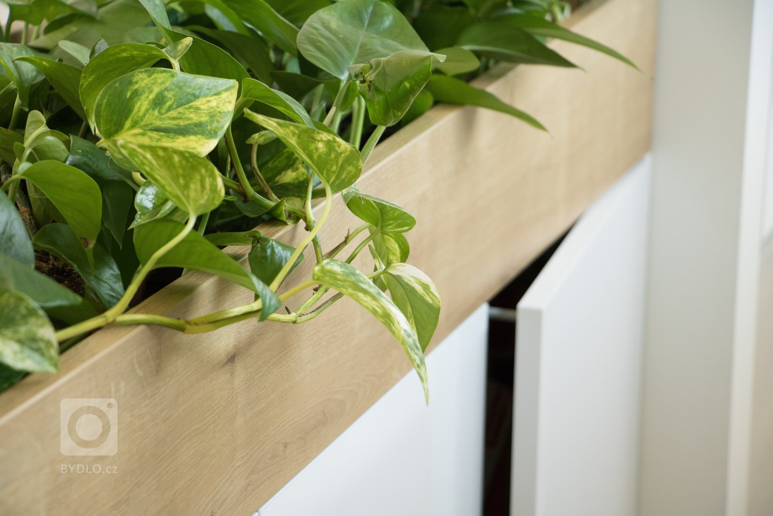 Kuchyňská linka je navržena ve dvou liniích s navazujícím jídelním stolem. Klasickou kombinaci bílé a dekoru dubového dřeva obzvláštňuje šedý akcent v podobě…