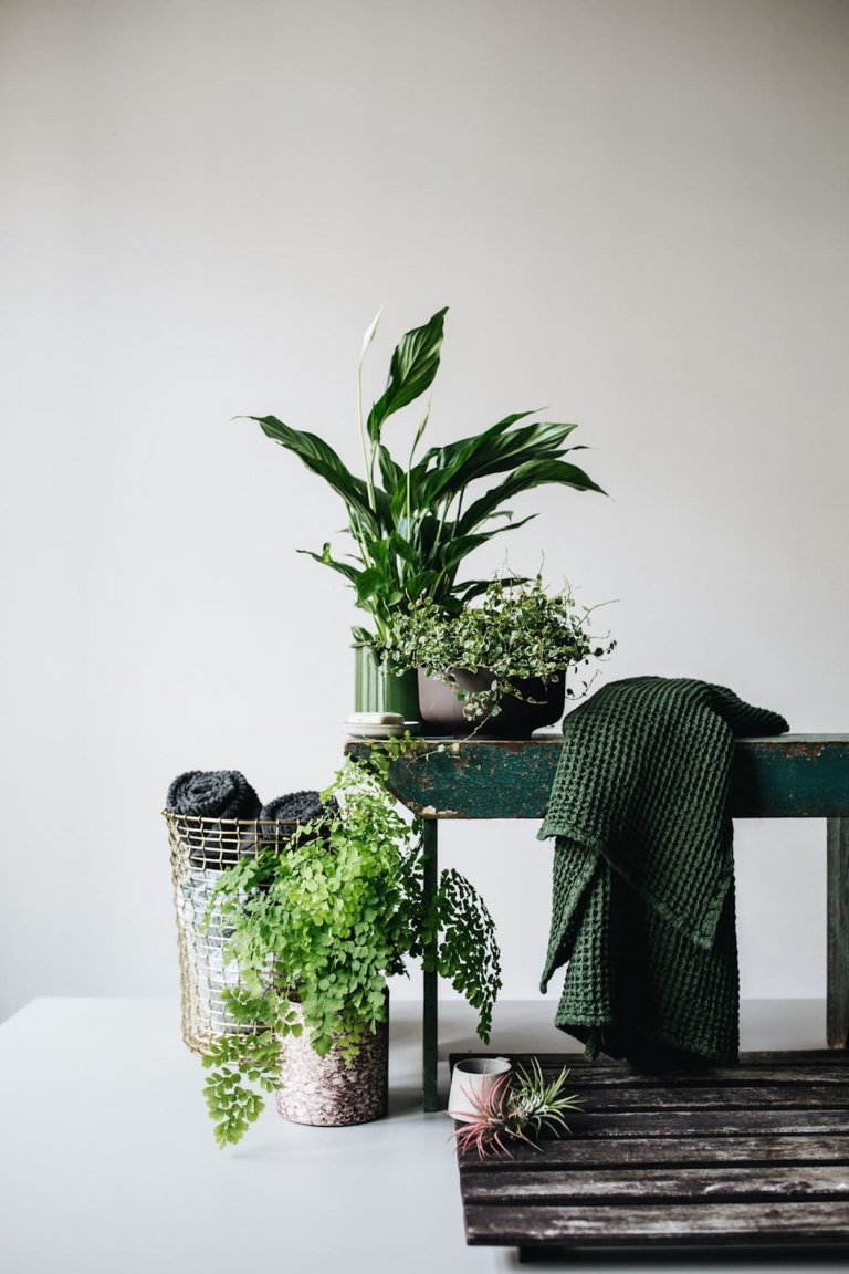 5 interiérových trendů pro letošní rok